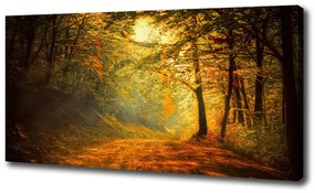 Vászon nyomtatás Erdő ősszel oc-60738927