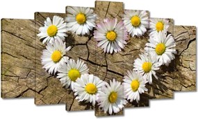 Vászonkép 140x80 Kamillaszív