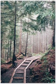 Poszterek 60x90 Erdei ösvény