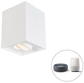 Okos spotlámpa fehér, WiFi-vel, állítható - Quadro 1 Up