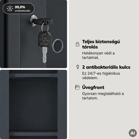 Fém szekrény vitrinnel, antracit, 900x1850x400 mm: AMELIA