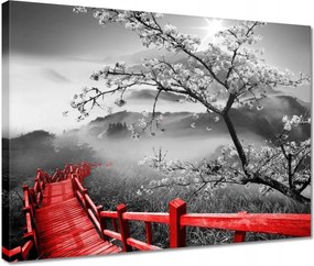 Vászonkép 40x30 Virágzó cseresznye Japán