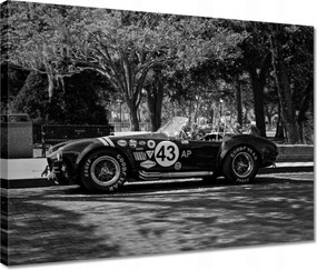 Festmények 40x30 Shelby