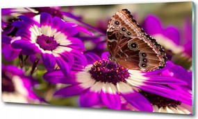 Fotótapéta falra edzett üveg Levendula 125x50