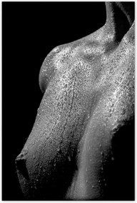 Poszterek 80x120 Aktok Meztelenség Szerelem Fotó