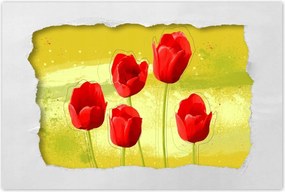 Poszterek 120x80 Pipacsok mézes háttérrel