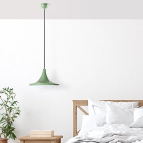 Tom - 3531 - Mint