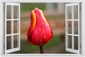 Poszter 90x60 Piros-sárga tulipán