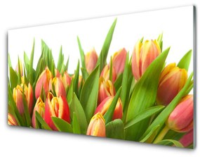 Akril üveg kép Tulipán virágok Plant 100x50 cm 2 fogas