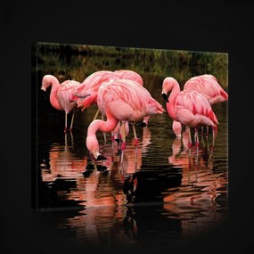 Flamingók, vászonkép, 60x40 cm méretben