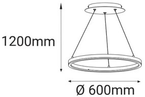 LED2 - LED Csillár zsinóron CIRCLE LED/42W/230V