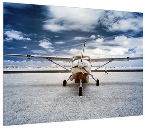 Repülőgép képe (70x50 cm)