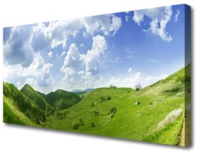 Vászonkép falra Mountain Meadow Nature Field 125x50 cm