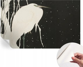 Öntapadós Dekoratív Fotótapéta Hálószobába Téli madár 416x254 cm