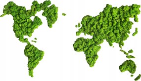 Natúr moha fali világtérkép 1,1m x 0,7m