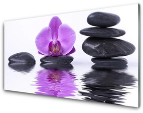 Akrilkép Virág Víz tükörképe 100x50 cm