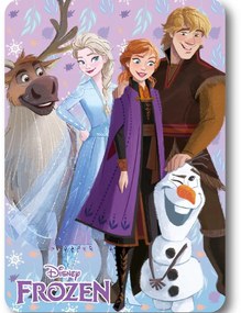 Disney Jégvarázs Winter Friends polár takaró 100x140cm