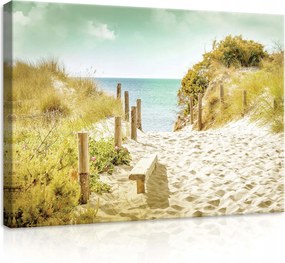 Vászonkép 70x50 Homokos ösvény tenger dűnék fű ég nyugalom nyár természet