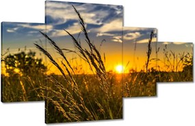 Vászonkép 130x80 Naplemente a füvek között