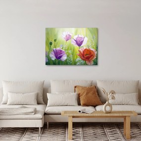 Kép - Pipacsok (70x50 cm)