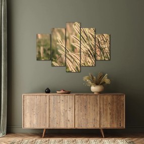 Kép - Gabona (150x105 cm)