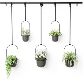 Műanyag kaspó szett 5 db-os fűszernövényekhez -függő ø 7,5 cm Triflora – Umbra