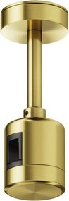 Maytoni Flarity TRA156C-IPC1-BS Függeszték IP20