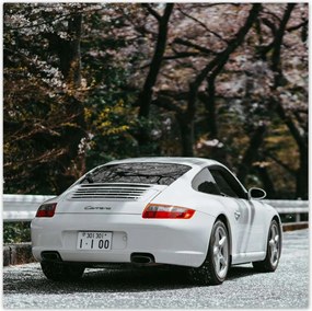 Poszterek 140x140 Porsche Autó