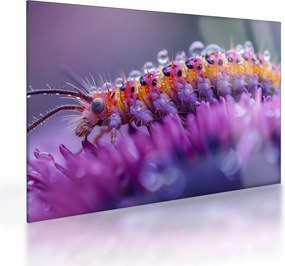 Üveg kép - Caterpillar (70x50 cm)