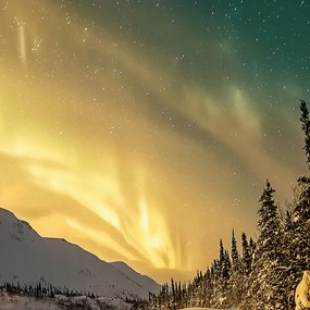 Poszter 70x70cm Északi fény Télen