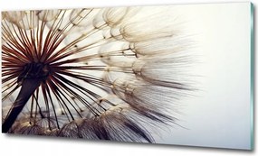 Fotó üvegkép Lila tulipánok 125x50