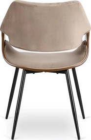DAKOTA bársony szék bézs / dió színben