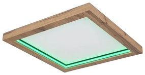 Globo 41374-24 - BRANZA LED RGBW 24W mennyezeti lámpa, dimmelhető, DO