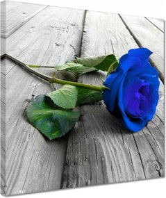 Vászonkép 30x30 Kék rózsa a deszkákon