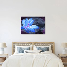 Egy virág képe részletesen (üvegen) (70x50 cm)