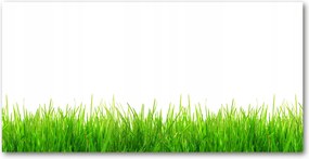 Üvegpanel konyhába Fű 140x70 cm Ragasztó