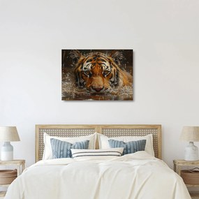 Üveg kép - Portré egy tigris a vízben (70x50 cm)