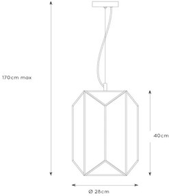 Lucide 25407/01/30 - Csillár zsinóron FERN 1xE27/60W/230V