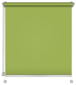 Gario Roló Mini Standard Strukturált Tavaszi zöld Szélesség: 47 cm, Magasság: 150 cm