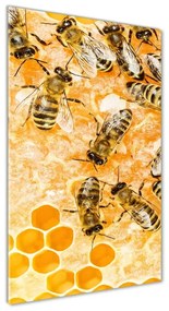 Üvegkép Dolgozó méhek osv-74378590