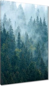 Vászonkép 80x120 Erdő a ködben Utazás