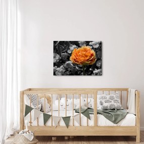 Virág képe (70x50 cm)