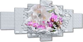 Festmények 210x100 Orchidea a falon Virágok