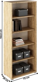 Nyitott állvány,artisan tölgy/fehér, RIOMA TYP 03