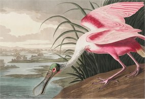 Flizelin tapéta Divatos 3D fali ragasztó Egzotikus madár 152x104 Ragasztó