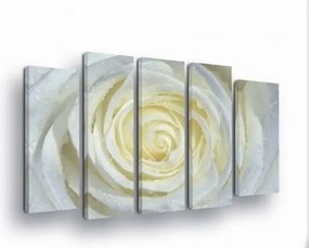 Vászonkép 150x100 Fehér rózsa harmat cseppek frissesség természet virág makro művészet