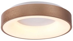 Rabalux 5052 - LED Mennyezeti lámpa CARMELA LED/30W/230V