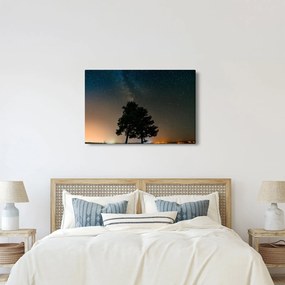 Egy éjszakai égbolt fákkal képe (90x60 cm)
