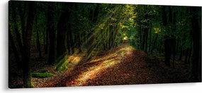 Erdei út képe (120x50 cm)