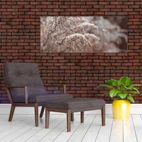 A növények képe (120x50 cm)